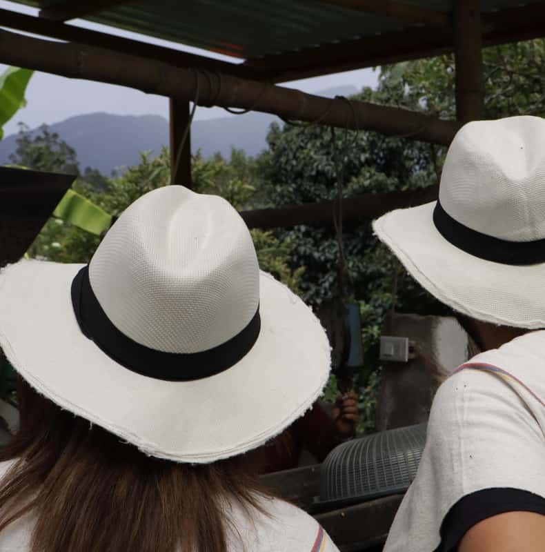 Bogotá: Guided Half-Day Coffee Farm Tour
