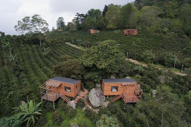 Coffee Experience at La Palma & El Tucan