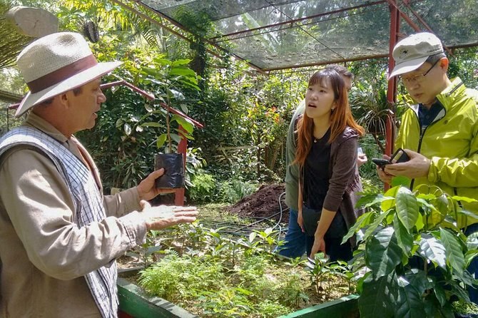 Coffee Plantation Tour From Bogota