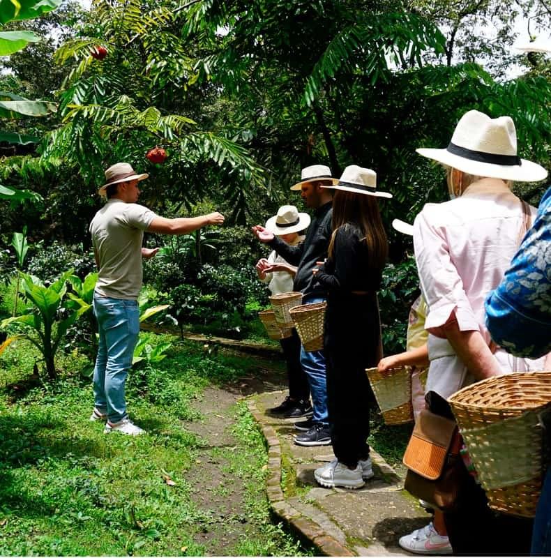 From Bogotá: Coffee Farm and Tequendama Falls Tour