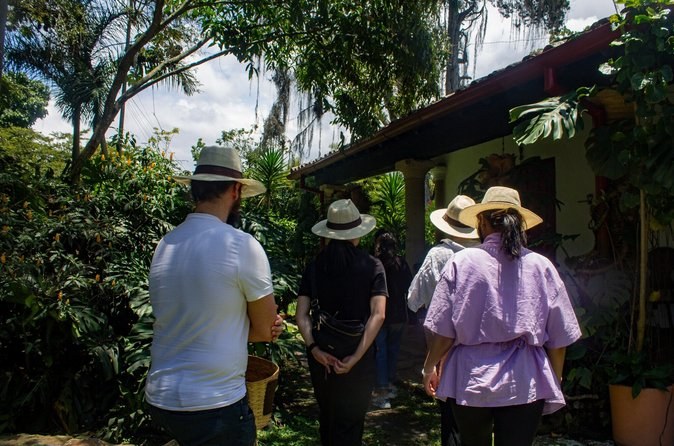Visit to Finca Cafetera From Seed to Cup